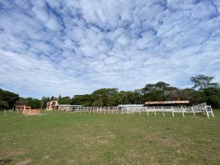 Cattle Ranch in Pilar, Paraguay!!! 