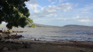 FARMLAND - Beachfront Lake Nicaragua Farm